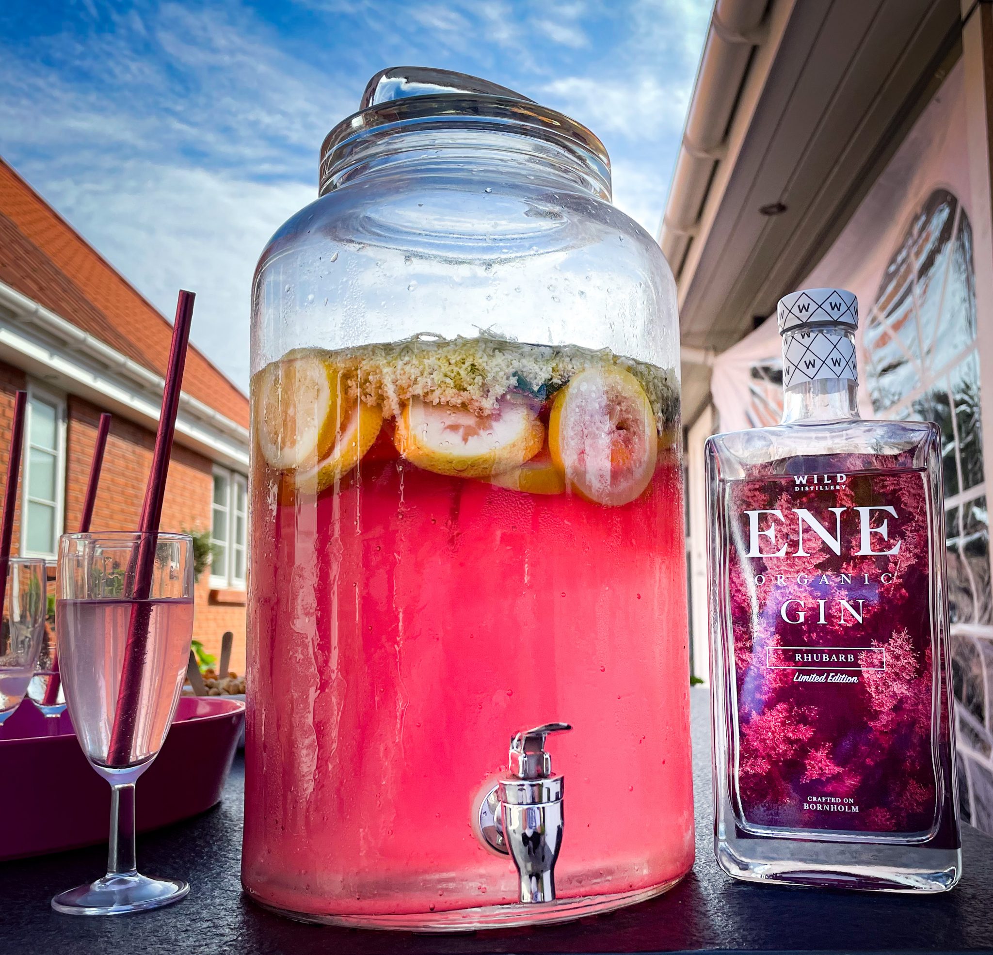 Hyldeblomst velkomstdrink med rabarber gin Nørvigs Køkken