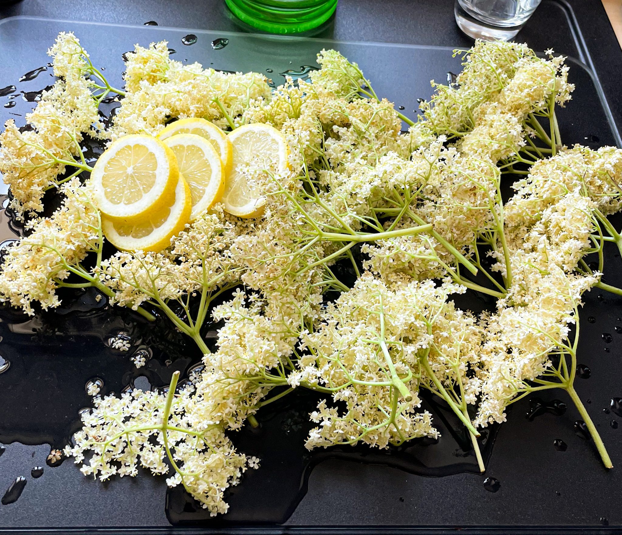 Hyldeblomst velkomstdrink med rabarber gin Nørvigs Køkken